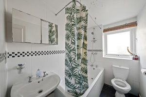 Photo 5- click for photo gallery